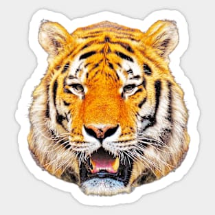 Tiger Orange Tee Sticker